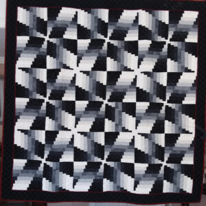 Missing Grey Cat Digital Pattern